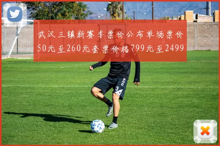 武汉三镇新赛季票价公布单场票价50元至260元套票价格799元至2499元